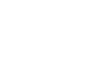 Pioneer kolumnritning